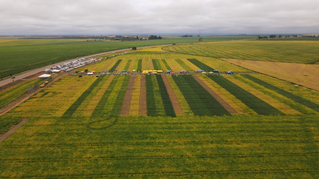 Imagem aérea da fazenda em Brasília