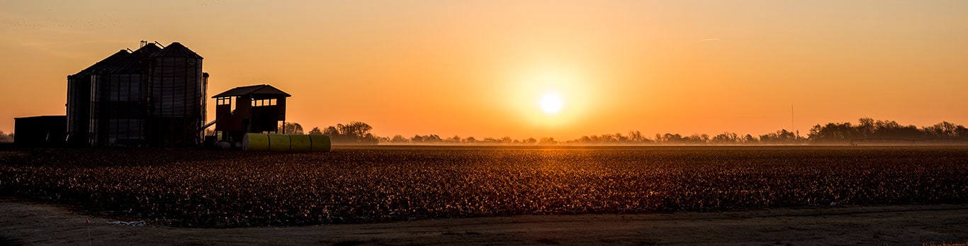 Silhueta de uma fazenda com o nascer do sol ao horizonte