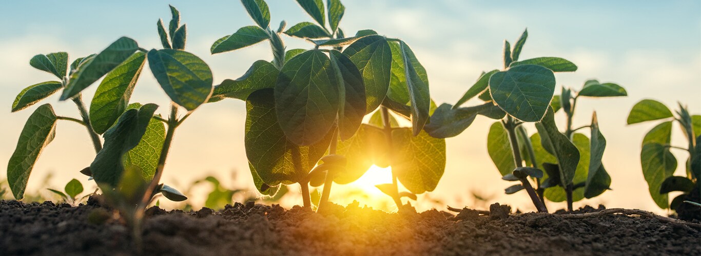 motoniveladora hologr&aacute;fica com notifica&ccedil;&otilde;es de vis&atilde;o de trabalho