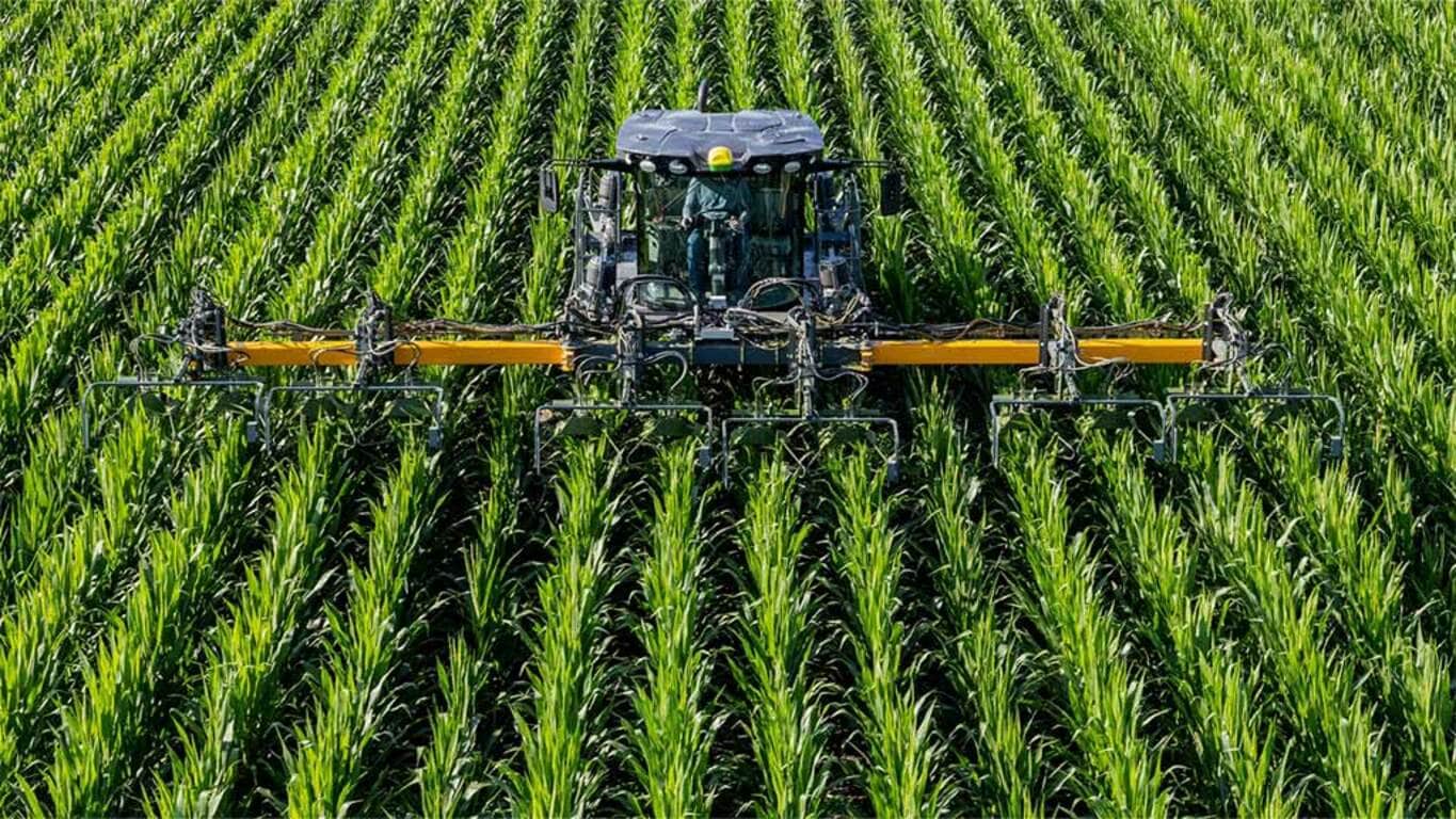 204SP Despendoador de milho Hagie