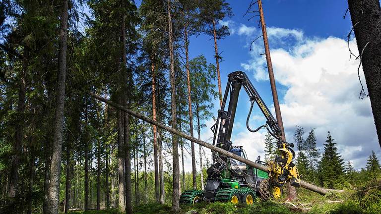 Harvester de pneus 1270G cortando um tronco de árvore em uma floresta.