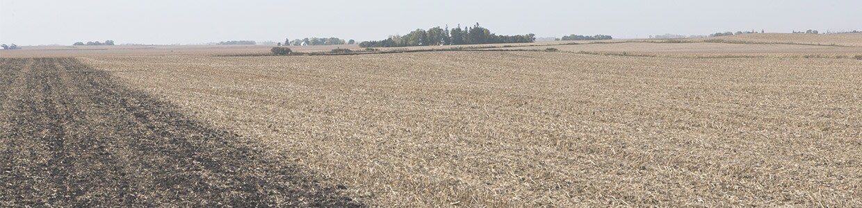 Implementos disponíveis no para preparo de solo