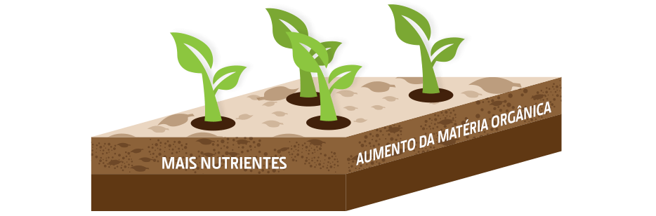 sistema agrícola sustentável com rotação de culturas