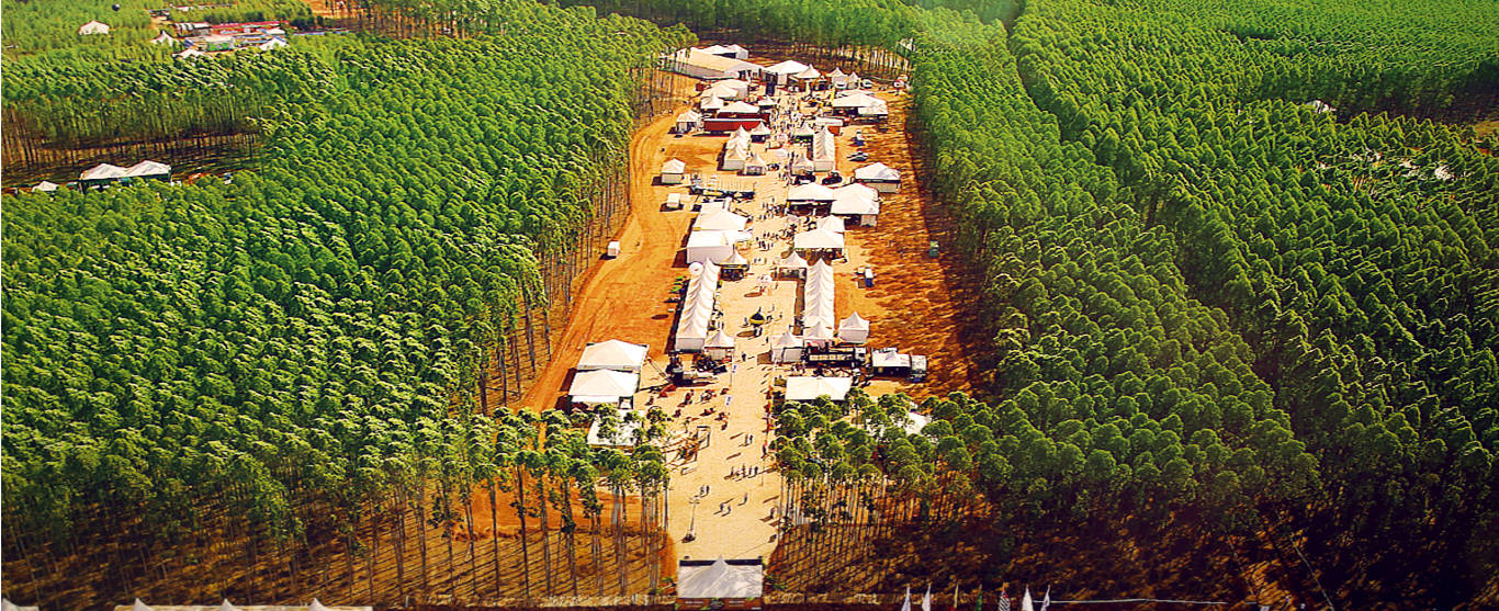 Vista aérea da feira Expoforest (Foto: Malinovski)