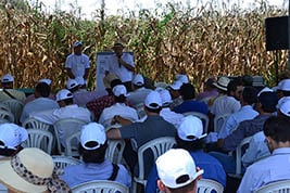 John Deere comemora 10 anos de Integração Lavoura-Pecuária-Floresta (ILPF) em fazenda modelo com Dia de Campo especial