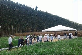 Dia de Campo ILPF (Divulgação)