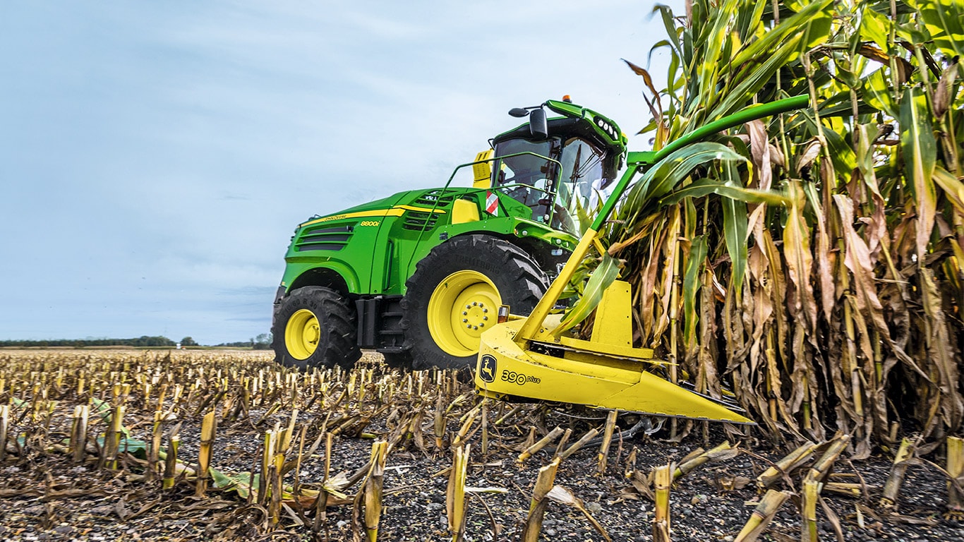 Política de qualidade
