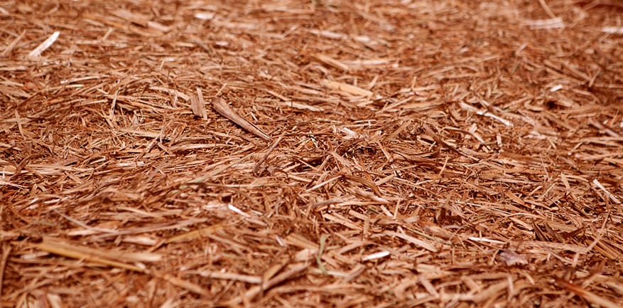 Solução Integrada para Coleta de Biomassa