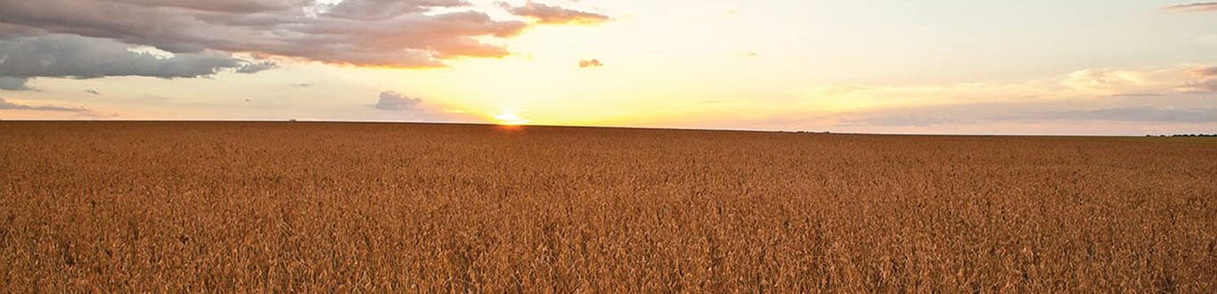 Empty field during sunrise/sunset