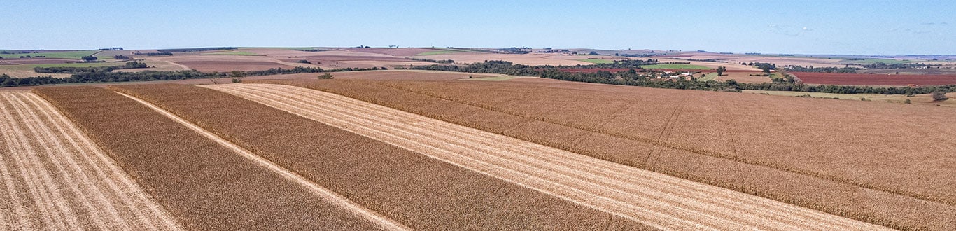 Vista de cima do campo arado.