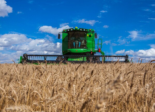 Colheitadeira de Grãos S440 em campo.