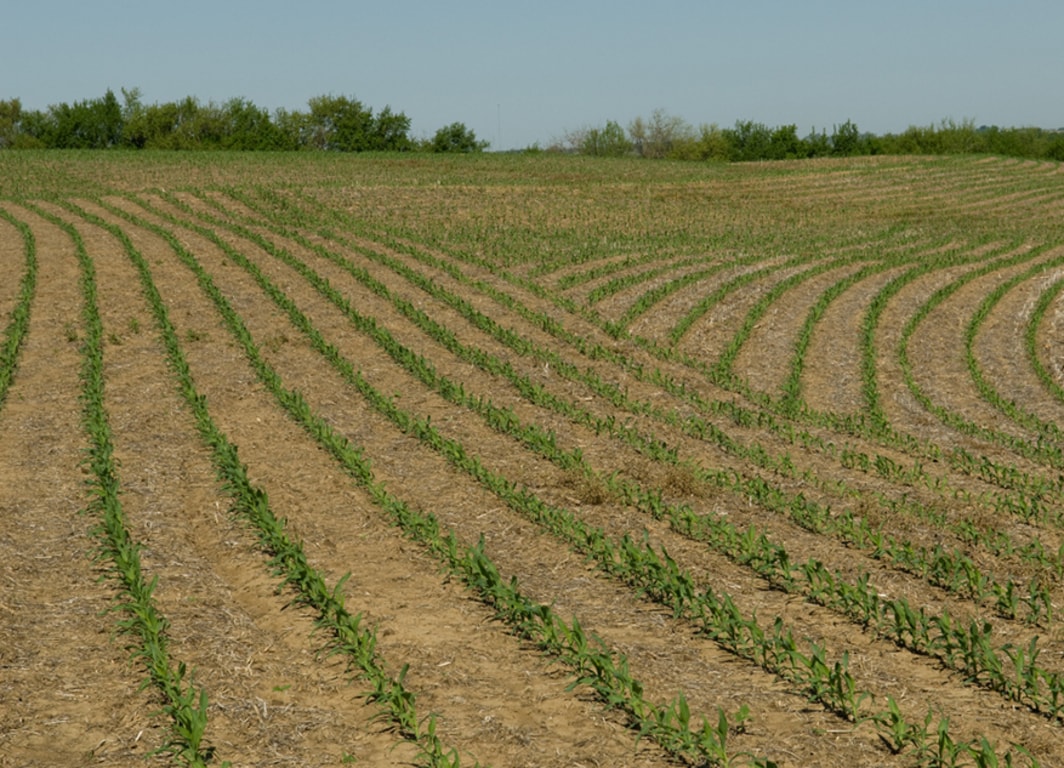 Campo com Swath Control Pro™.