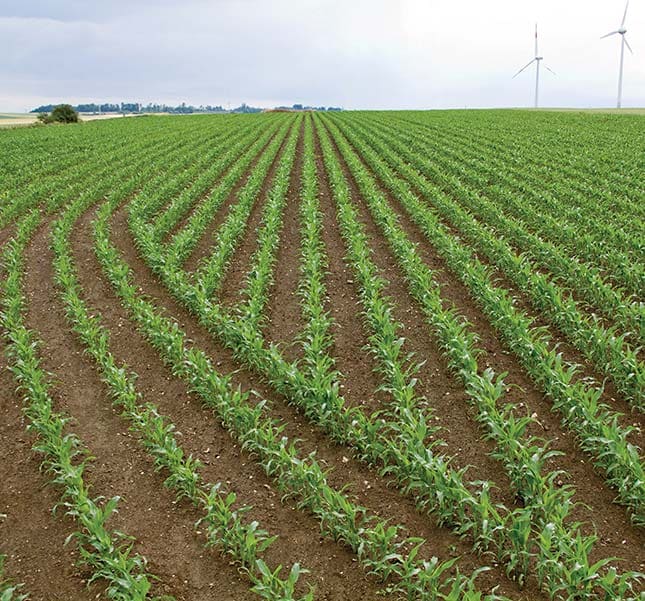 Campo arado.