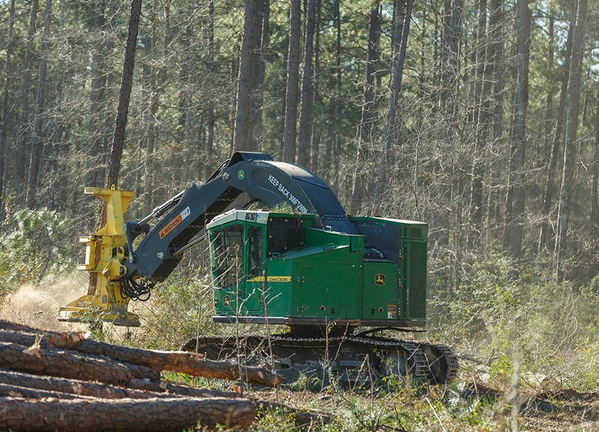 Imagem do Feller Buncher de Esteira 803M em operação.