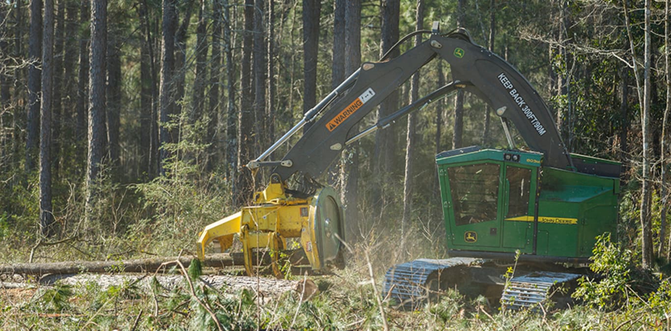 Imagem do Feller Buncher de Esteira 803M em operação.