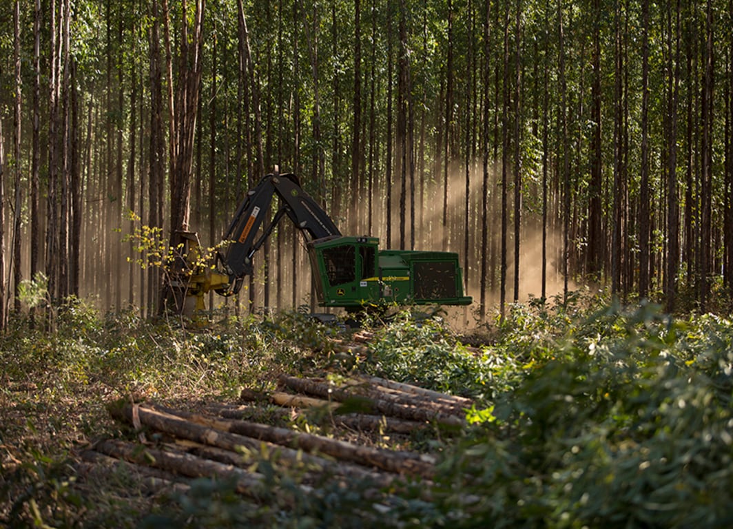 Imagem do Feller Buncher de Esteira 903M em operação.