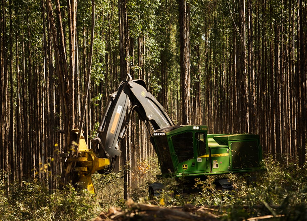 Imagem do Feller Buncher de Esteira 903M em operação.