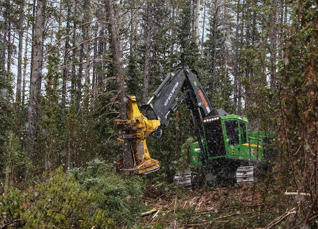 Imagem do Feller Buncher de Esteira 953M em operação.