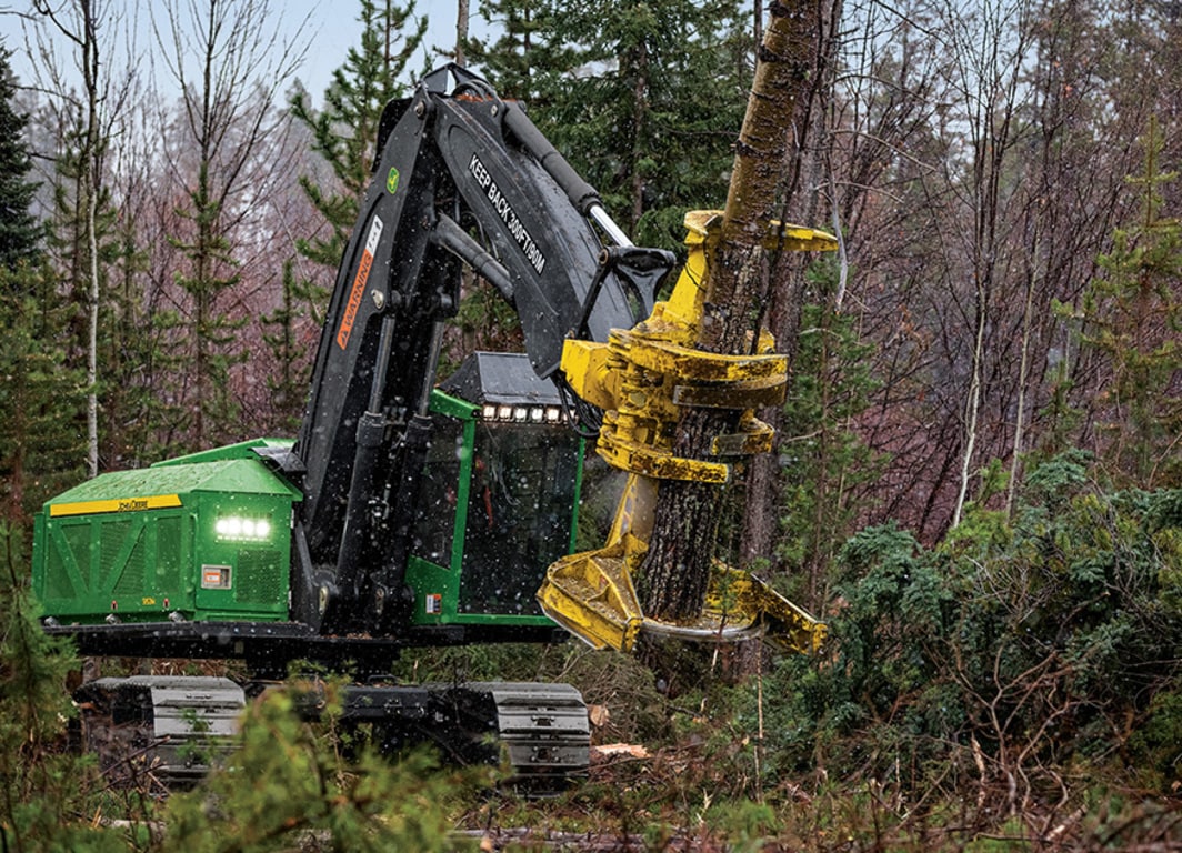 Imagem do Feller Buncher de Esteira 953M em operação.